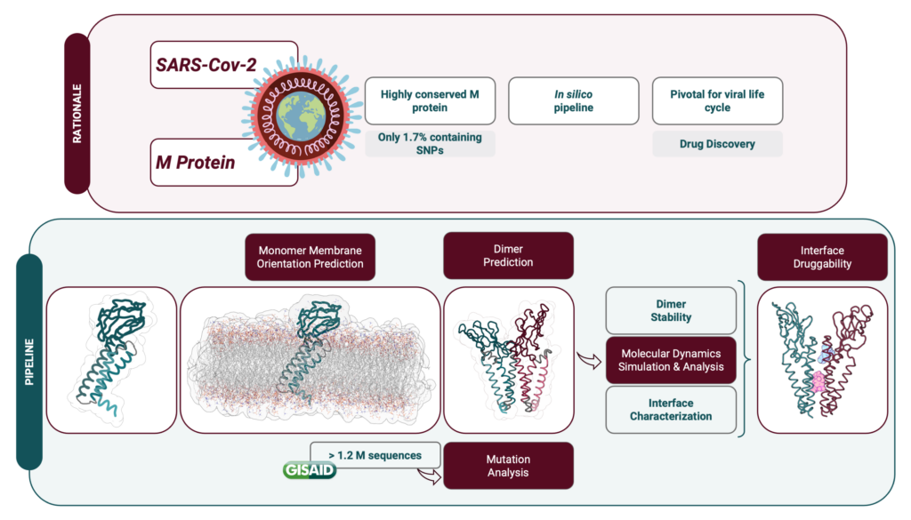 Proteína de membrana SARS-CoV-2: de dados genómicos a novos conhecimentos estruturais